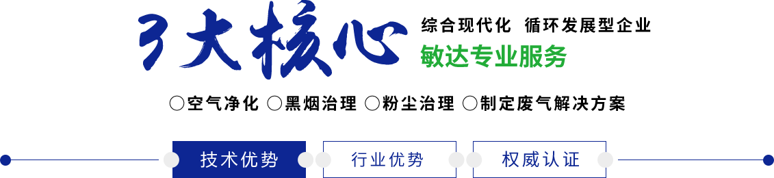 美女淫女日屌操逼敏达环保科技（嘉兴）有限公司